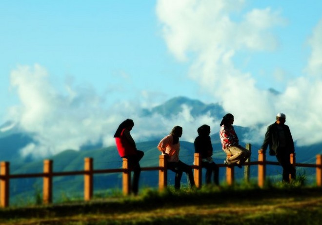 61315c54gbfe49feb4941undefined690 - .jpg