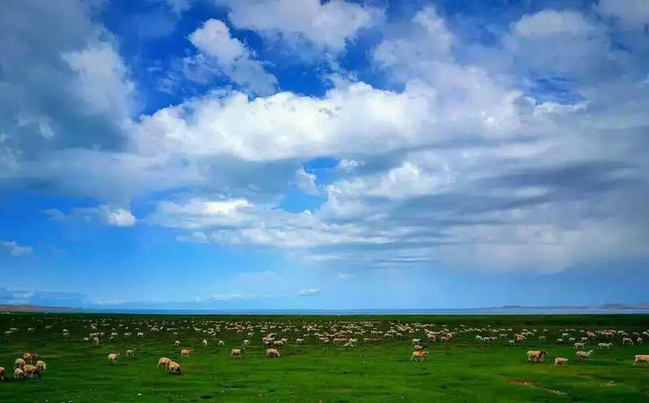 1459850452897898.jpg f5ea71acbd71b0.jpg_r_650x403x95_fb287e9f.jpg