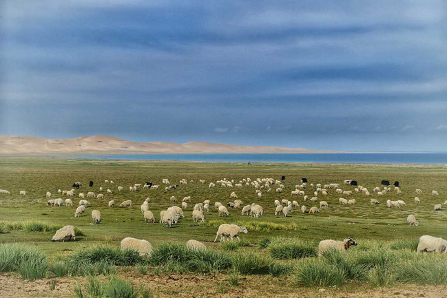 1459850076294424.jpg 1aae77b6957bb0.jpg_r_650x433x95_5839a360.jpg