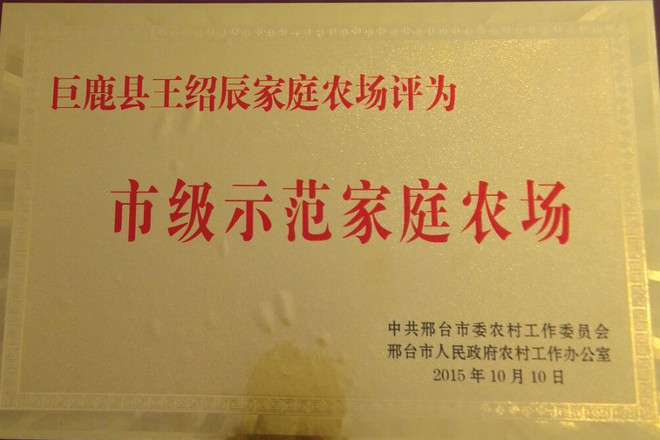1458114732619533.jpg 王绍辰.jpg